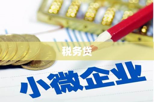 宁都税务贷
