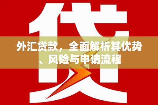 宁都外汇贷款，全面解析其优势、风险与申请流程
