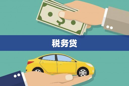 宁都税务贷