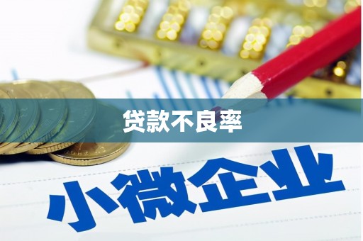 宁都贷款不良率