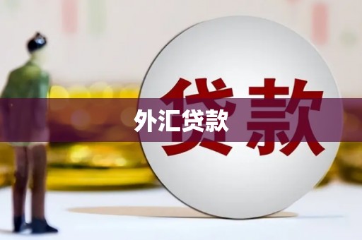 宁都外汇贷款