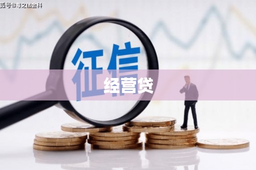宁都经营贷