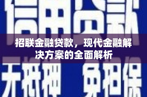 宁都招联金融贷款，现代金融解决方案的全面解析