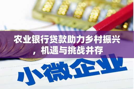 宁都农业银行贷款助力乡村振兴，机遇与挑战并存