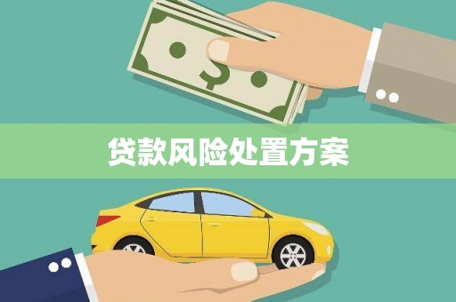 宁都贷款风险处置方案