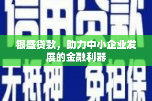 宁都银盛贷款，助力中小企业发展的金融利器