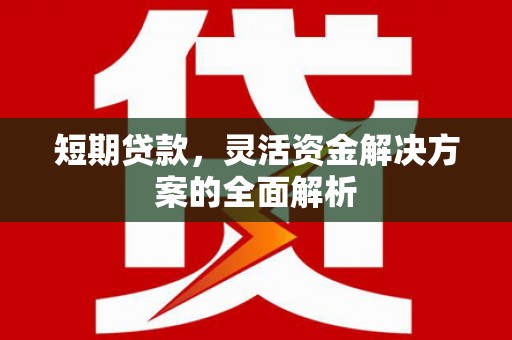 宁都短期贷款，灵活资金解决方案的全面解析