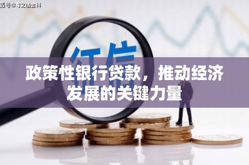 宁都政策性银行贷款，推动经济发展的关键力量