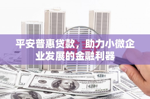 宁都平安普惠贷款，助力小微企业发展的金融利器