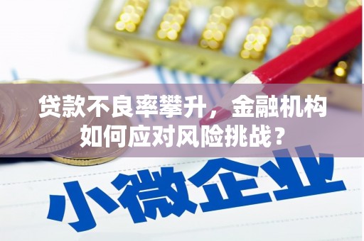宁都贷款不良率攀升，金融机构如何应对风险挑战？