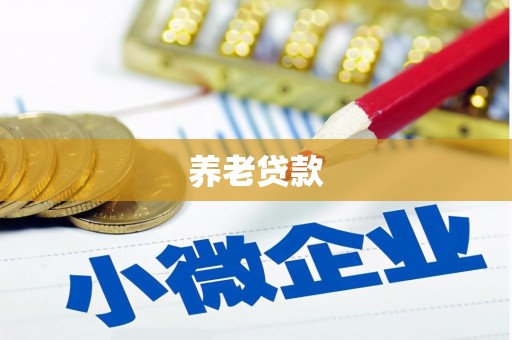 宁都养老贷款